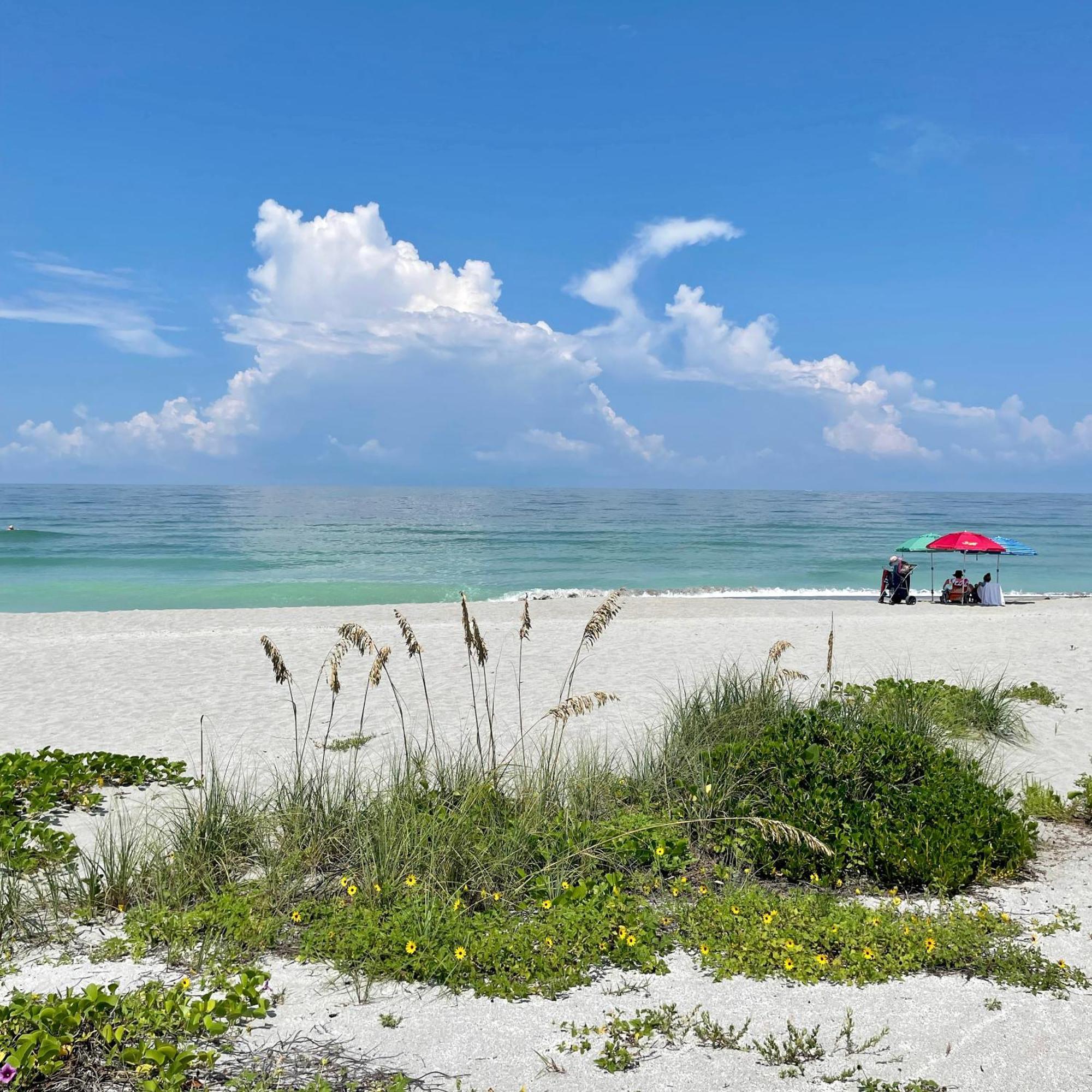 Turtle Beach Resort Siesta Key Extérieur photo